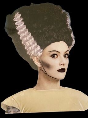 Bride of Frankenstein WIG Halloween Costume Accessory Universal Monsters